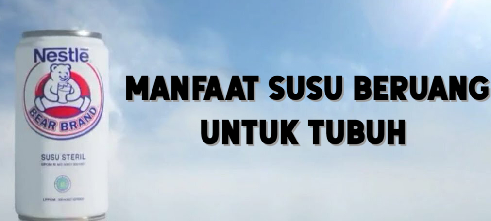 susu beruang berserta manfaatnya untuk tubuh